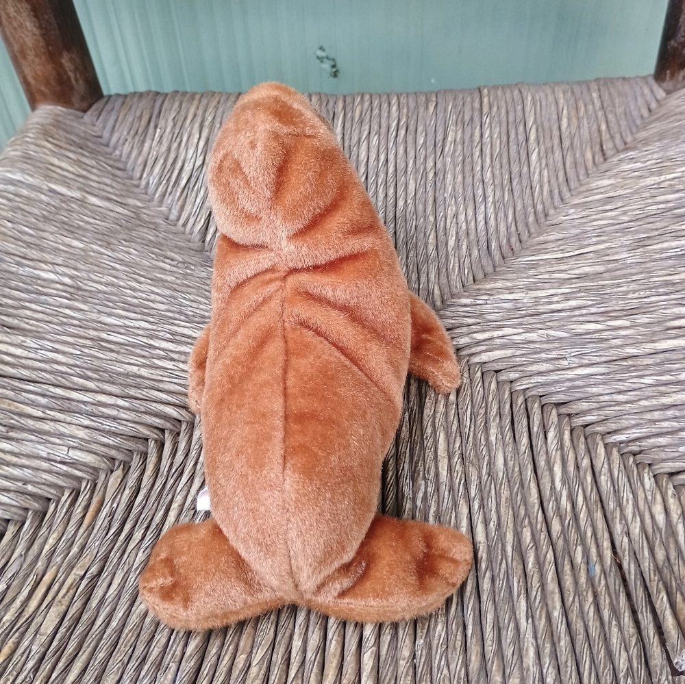 Paul the Walrus 1999 Vintage TY Beanie Babies 6in No Tag - Picture 4 of 7